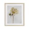 Stupell Industries Simple Beauty Soft Flower Framed Print Under Glass, design by Lori Deiter